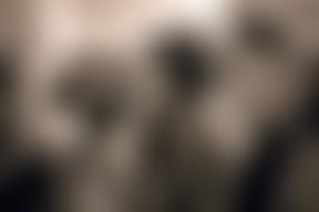 Y Cyngor Ar Alcohol A Chyffuriau Eraill / The Council On Alcohol And Other Drugs | Charici