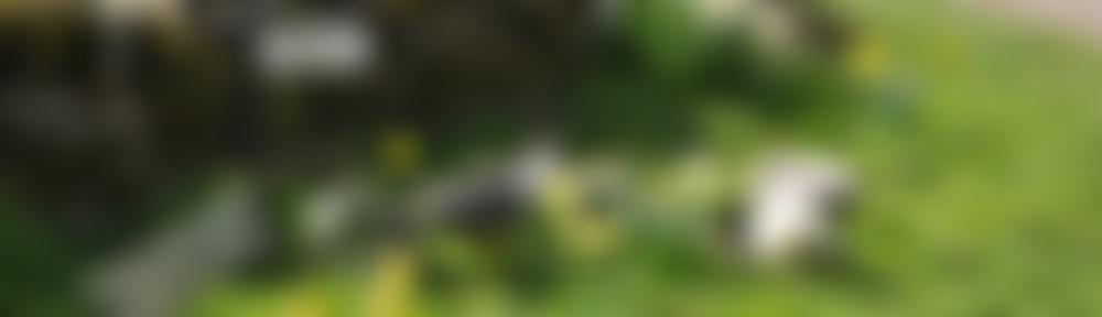 Bramwell Memorial Parish Institute | Charici