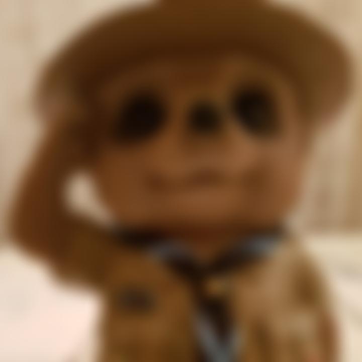 25Th Birmingham 1St Beeches Scout Group | Charici