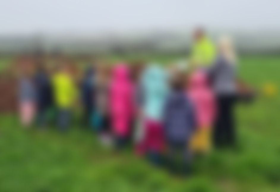 The Trust For Welsh Archaeology | Charici