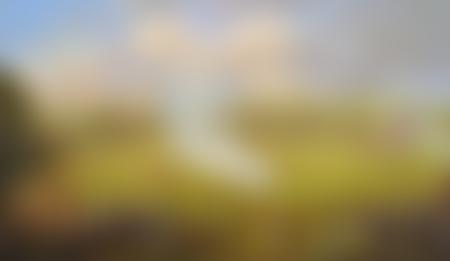 The Worcestershire Yeomanry Museum | Charici