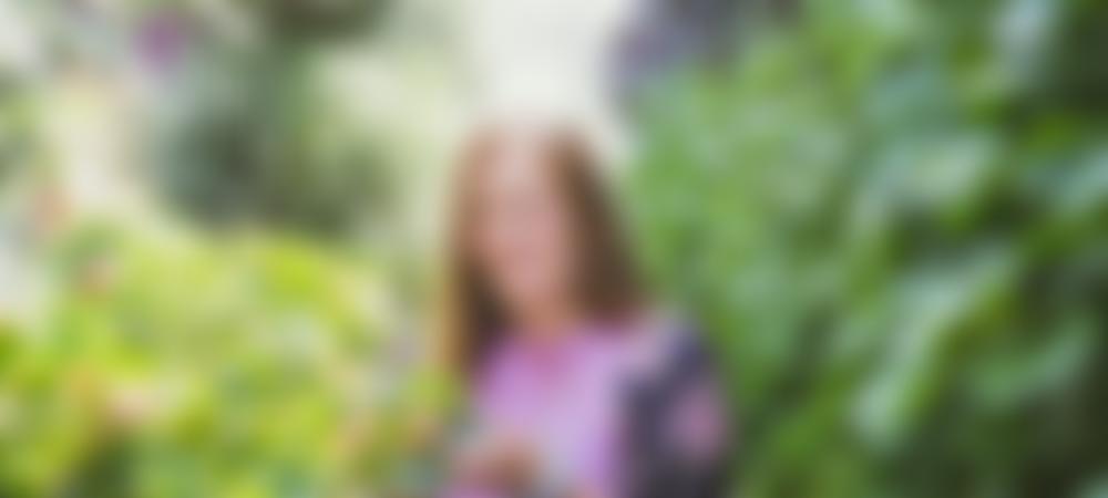 Blyth Star Enterprises Limited | Charici