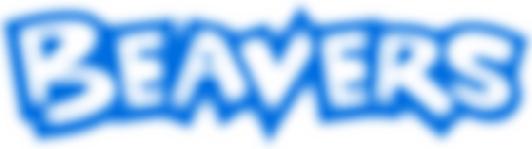 4Th Tynemouth (Congers) Scout Group | Charici