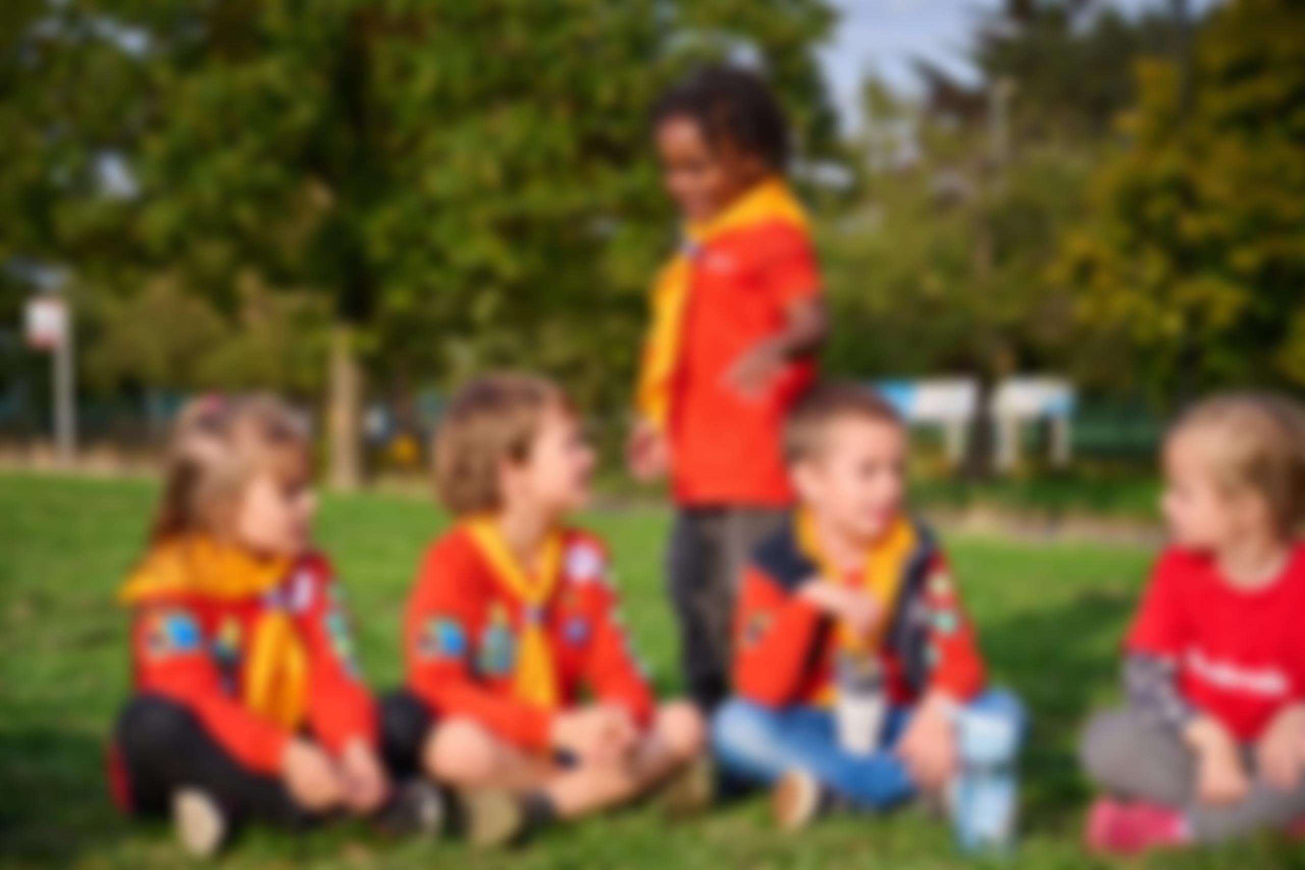 1St Pelsall Scout Group (11Th Walsall) | Charici