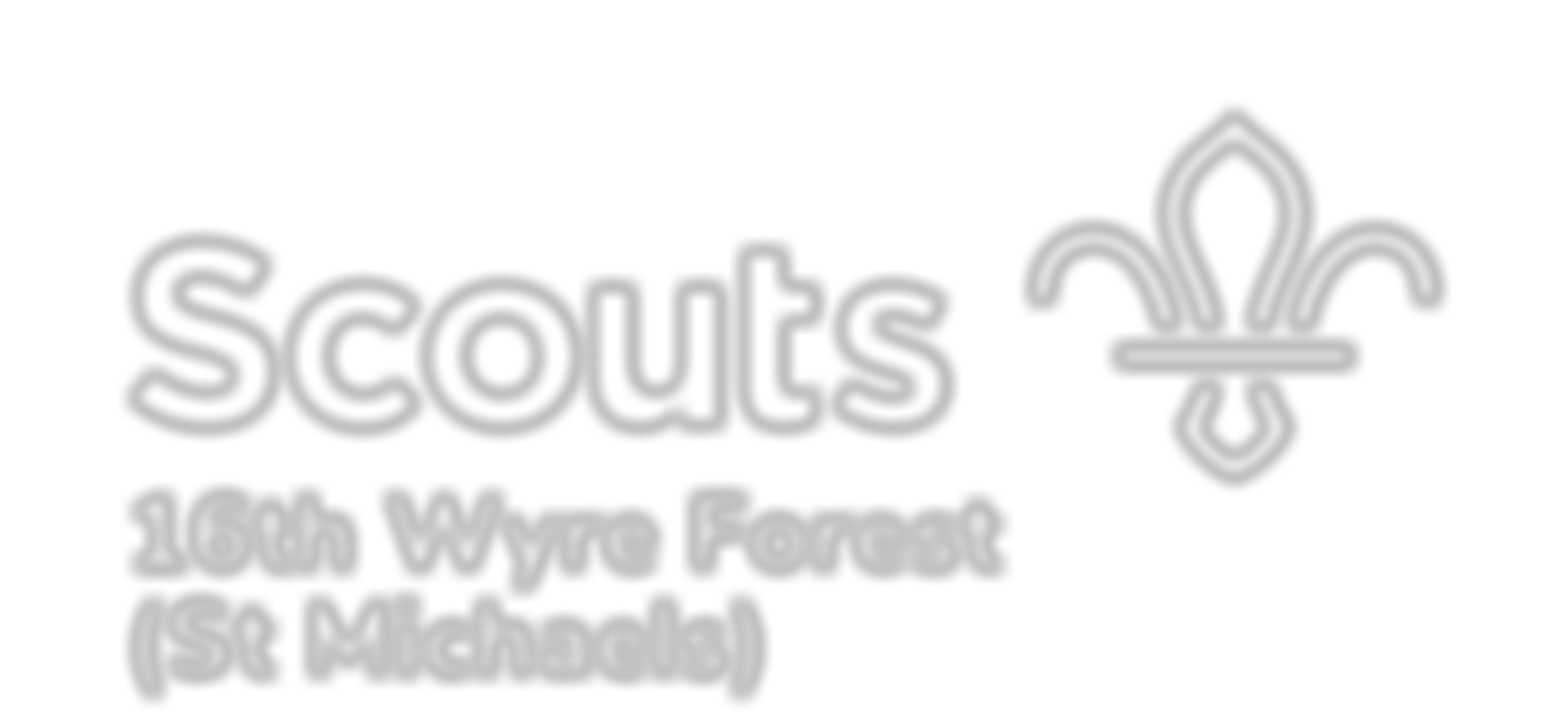 16Th Wyre Forest (Stourport St Michaels) Scout Group | Charici