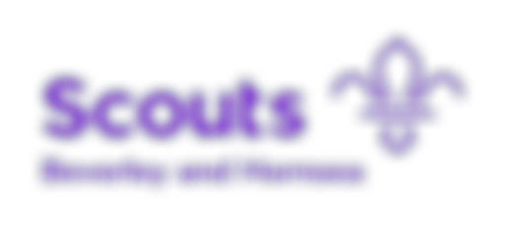 1St Hornsea Scout Group | Charici