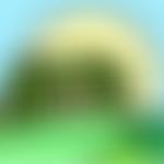 Liddington Village Hall | Charici