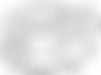 Willow Bank Pre-School | Charici