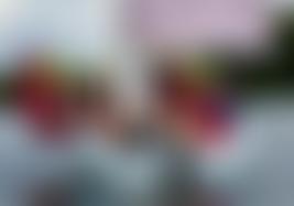 Essa Water Activities Centre | Charici