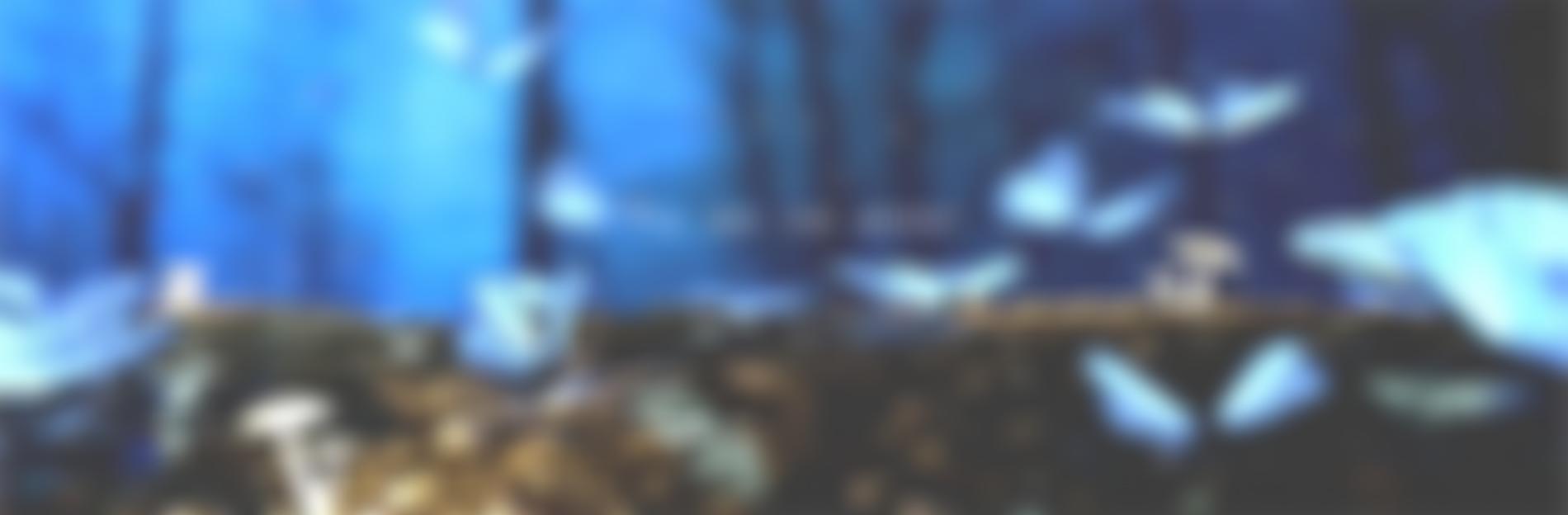 Pancreatitis Supporters Network | Charici