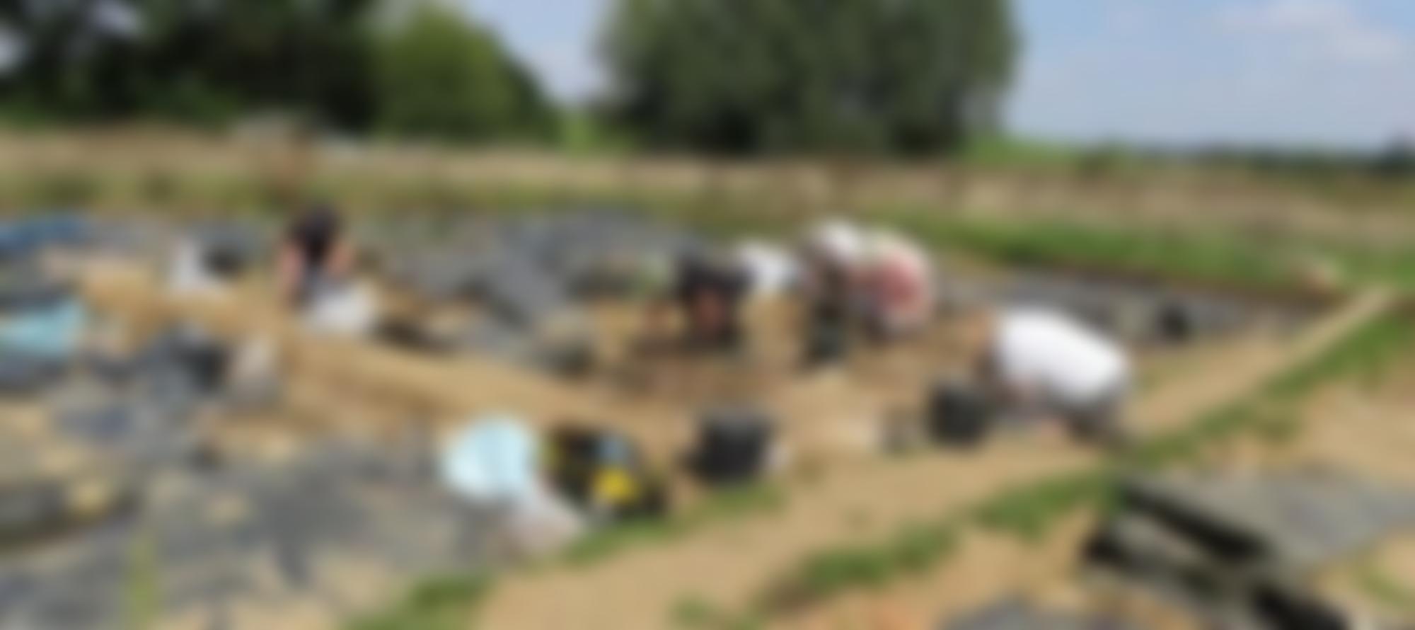 Colchester Archaeological Group | Charici