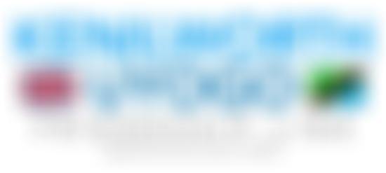 Kenilworth-Uyogo Friendship Link | Charici