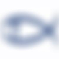 Heron Hill Free Church | Charici