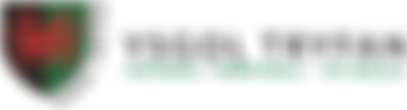 Cyfeillion Ysgol Tryfan/Tryfan School P.t.a. | Charici