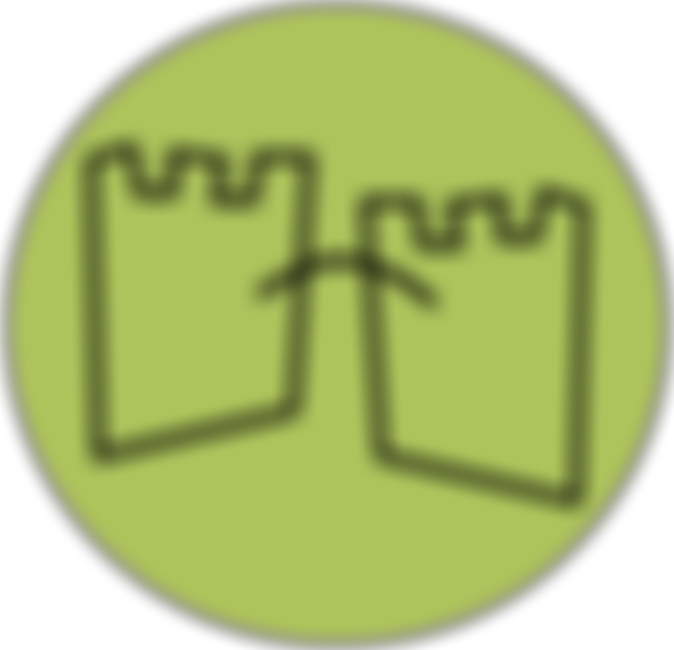 Whittington Castle Preservation Trust | Charici