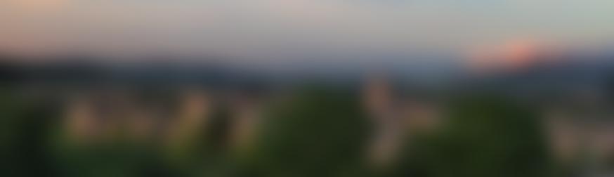 Friends Of Whitcliffe Common | Charici