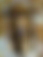 Servite Secular Institute | Charici