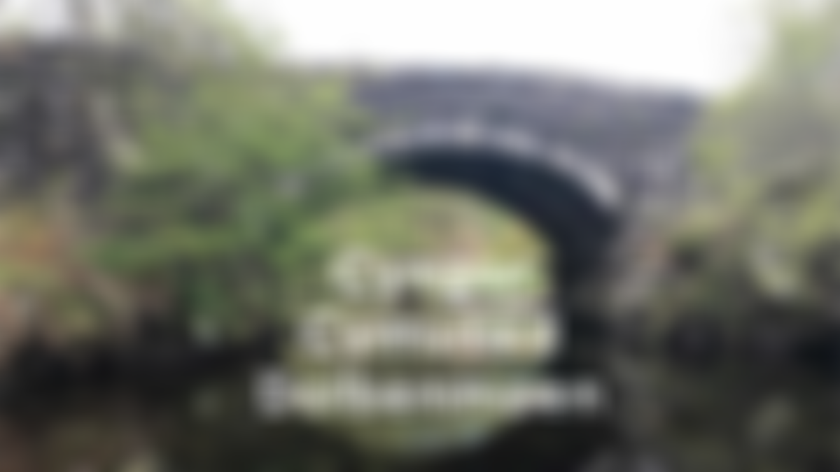 King George V Playing Field - Cae Chwarae Penmorfa | Charici