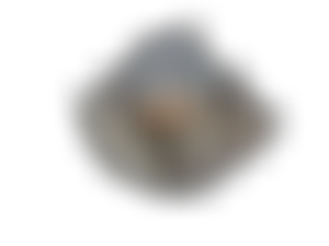 The Potters Bar Society | Charici