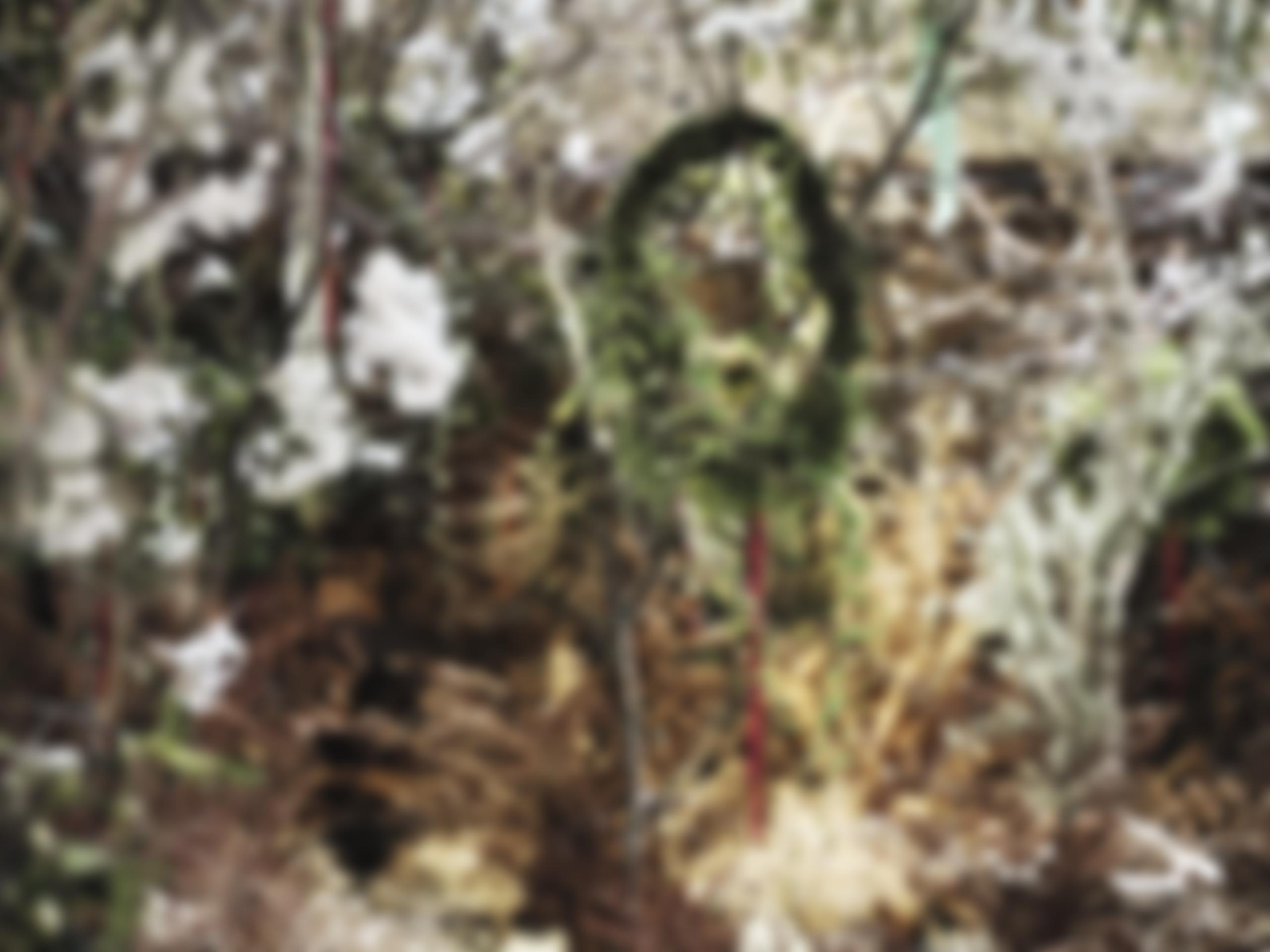 The Garden Museum | Charici
