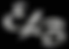 East London Brass | Charici