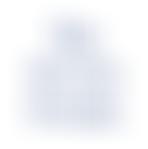 The Severn Forum | Charici