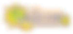 Costar Partnership | Charici