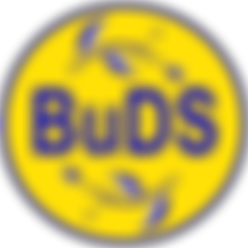 Buds Disability Service | Charici