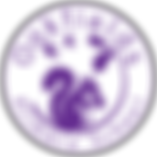 Oakfields Primary Ptfa | Charici