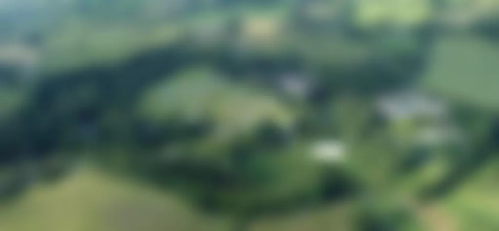 The Summer Fellowship Conference Trust | Charici