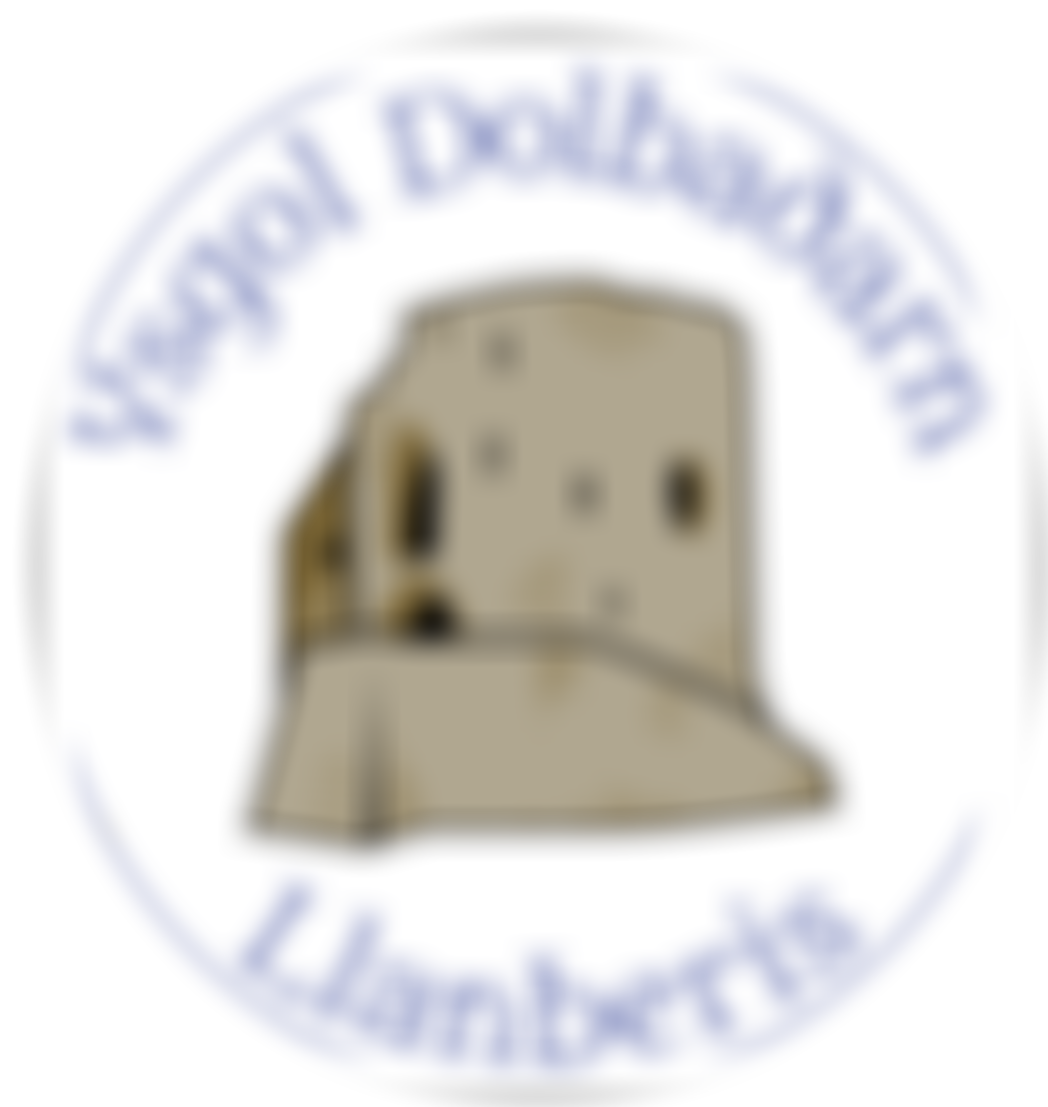 Cymdeithas Rhieni A Chfeillion Ysgol Dolbadarn | Charici