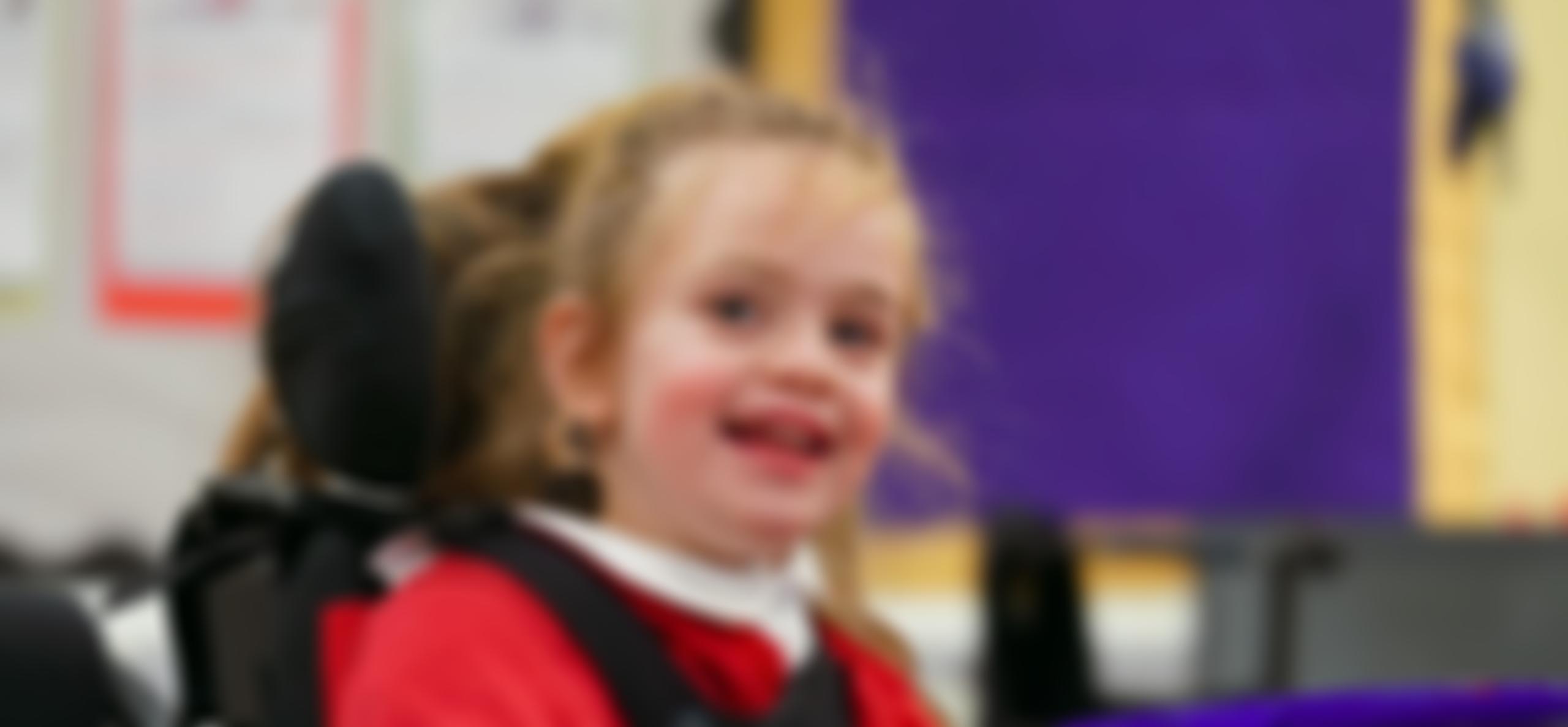 The Friends Of Thomas Wolsey School | Charici