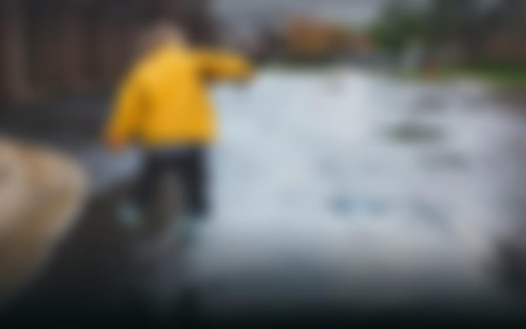 Paradigm Norton Trust | Charici