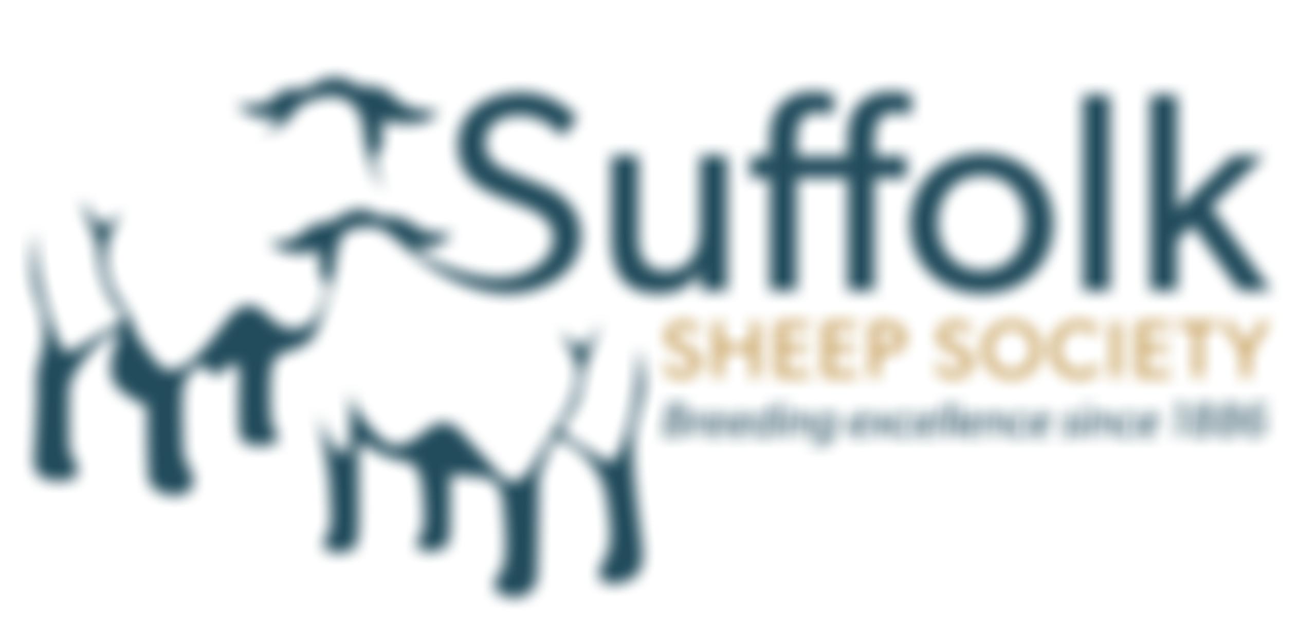The Suffolk Sheep Society | Charici