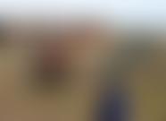 Rock Of Joy Trust | Charici