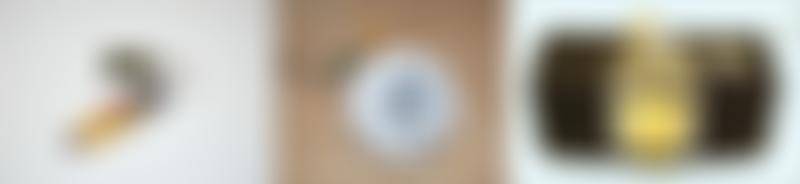 Forest Of Dean Talking Newspaper Association | Charici