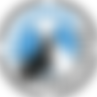 Celia Hammond Animal Trust | Charici