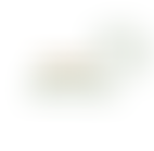 Powys Species-Habitat Association | Charici