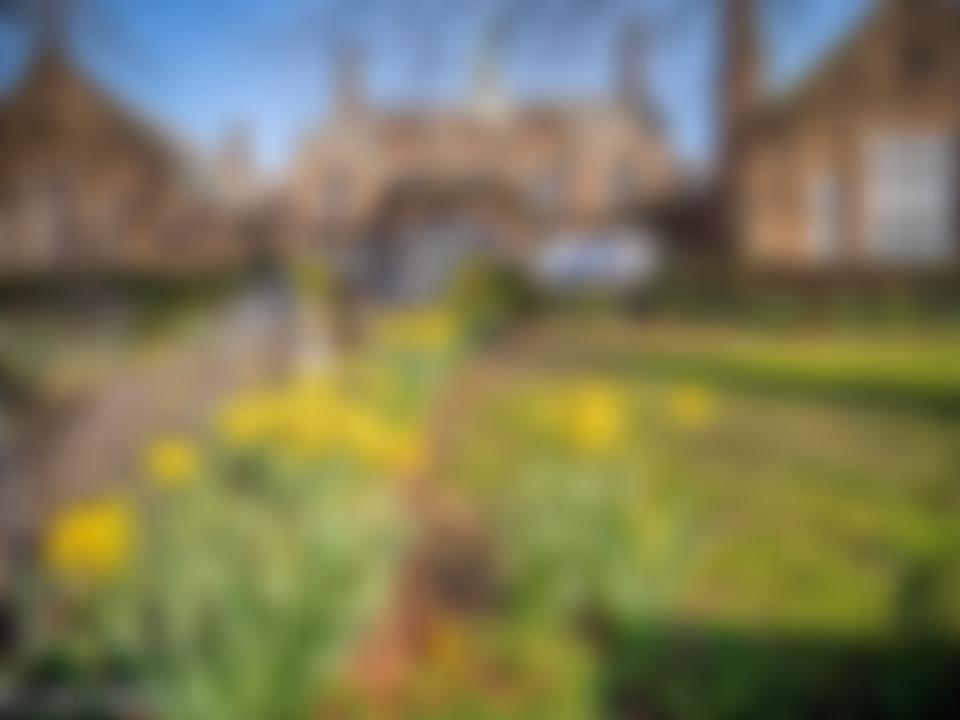 Guardians Of Strutts | Charici