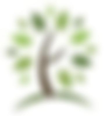 Birmingham Community Trust | Charici