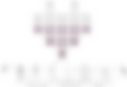 The Precious Foundation | Charici