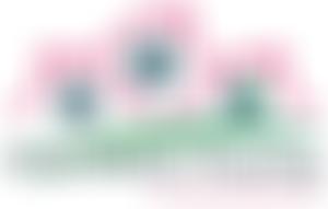 First Choice Housing | Charici