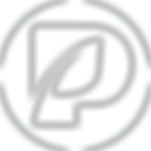 The Parochial Church Council Of The Ecclesiastical Parish Of St Philemon Toxteth | Charici