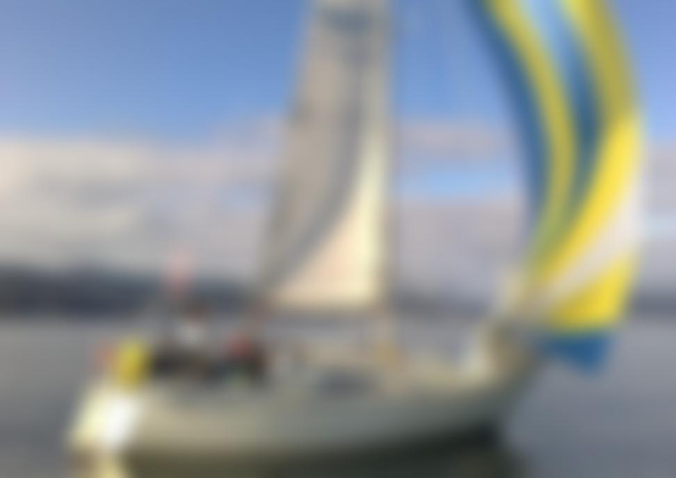 The Guillemot Trust | Charici