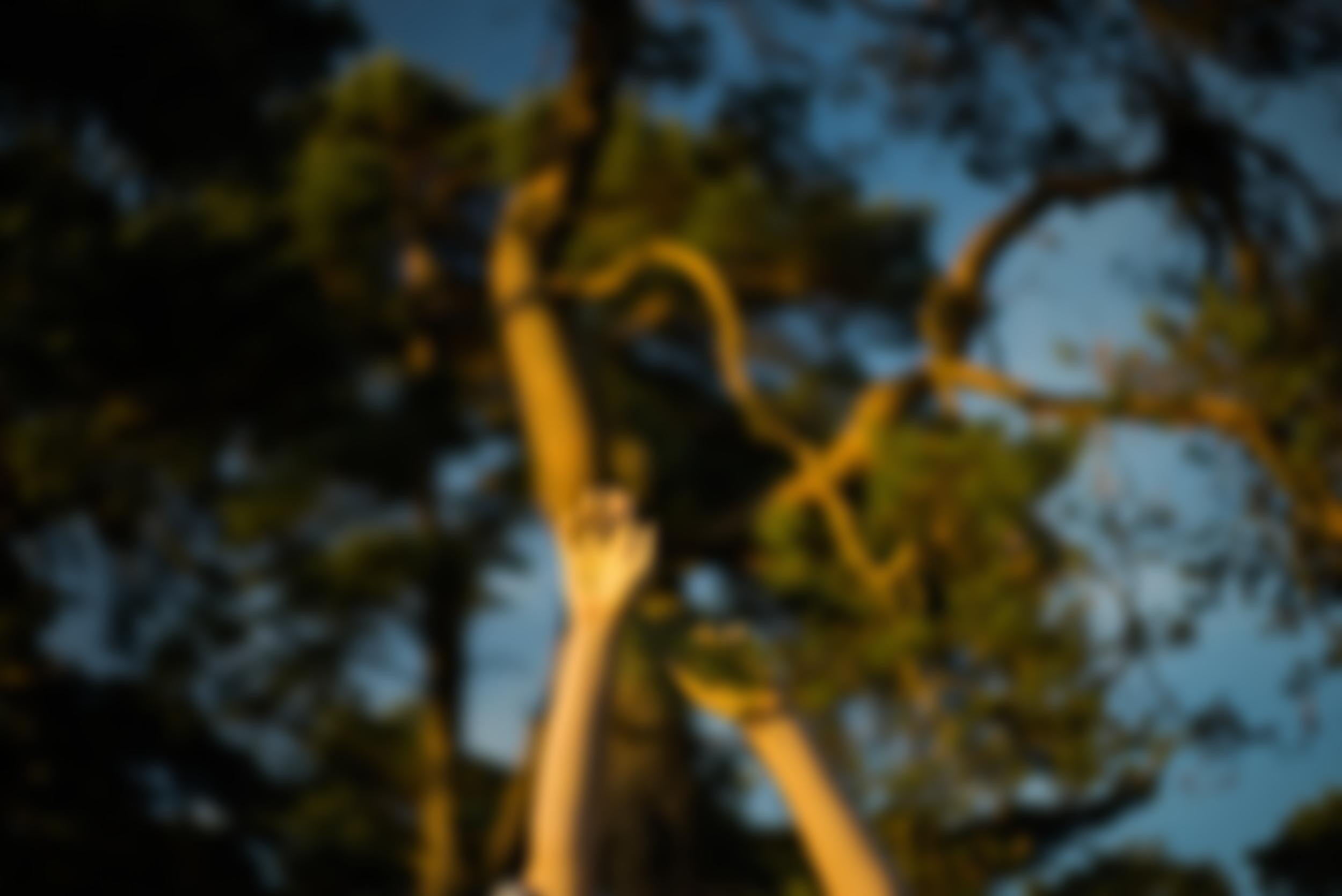 The Fleetwood Initiative | Charici