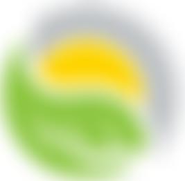 Yellowstripe Foundation | Charici