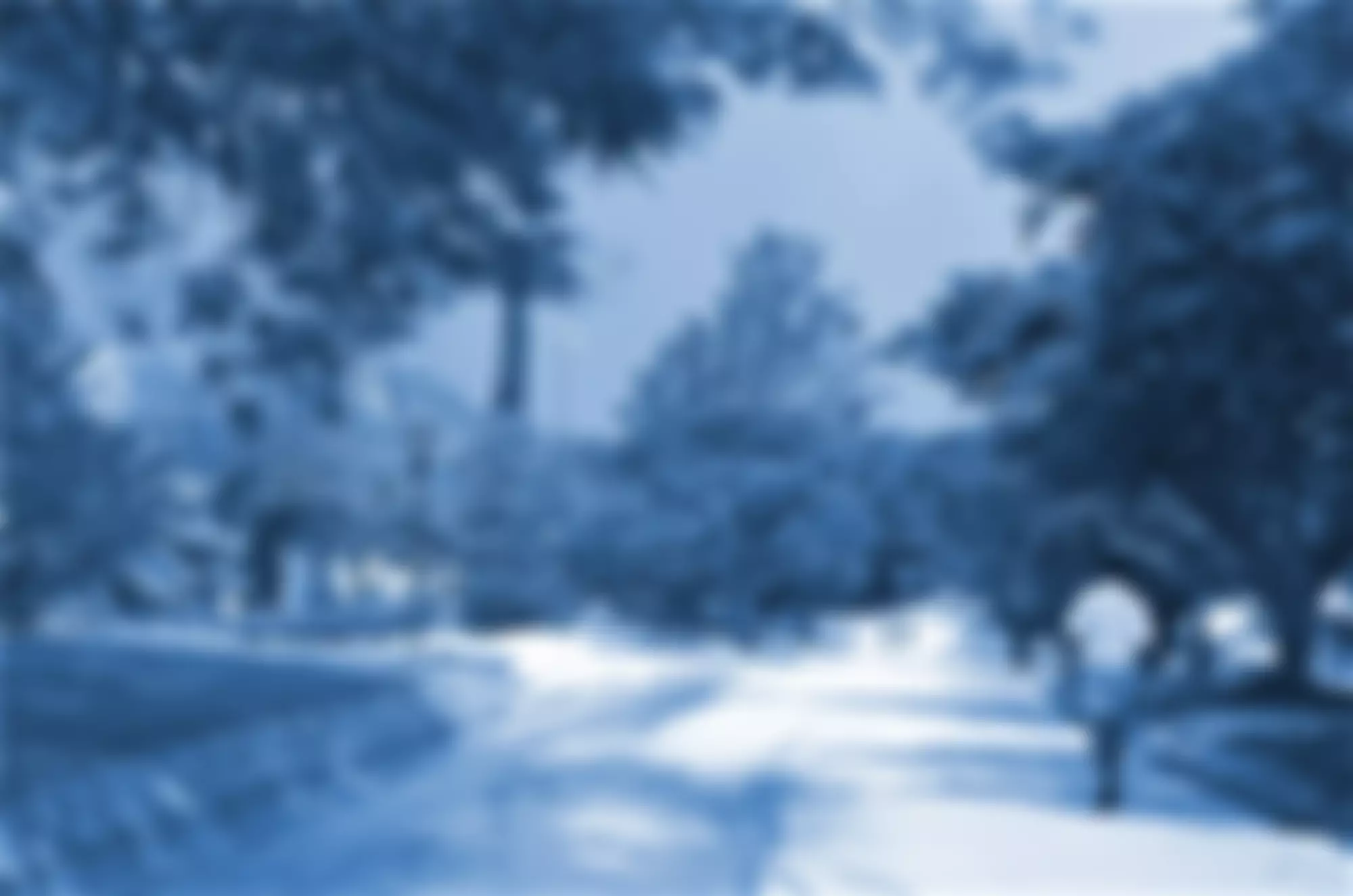 Falcon College Overseas Trust | Charici