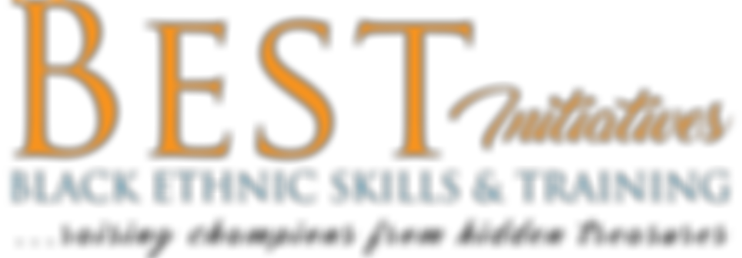 Black Ethnic Skills & Training Initiatives | Charici