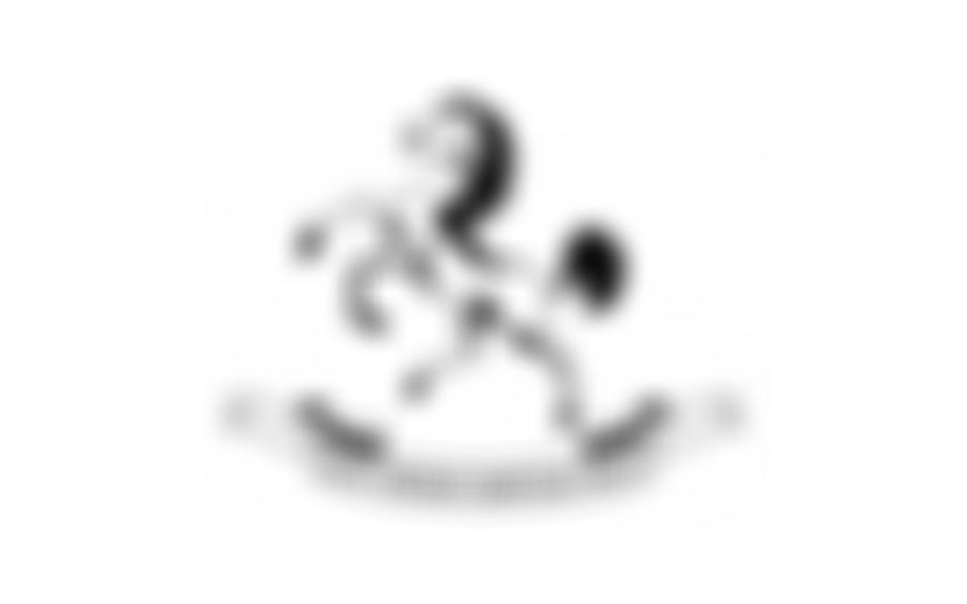 Kent Cricket Heritage Trust | Charici