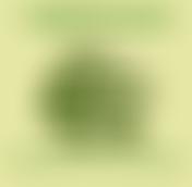 Ivegill Nursery | Charici